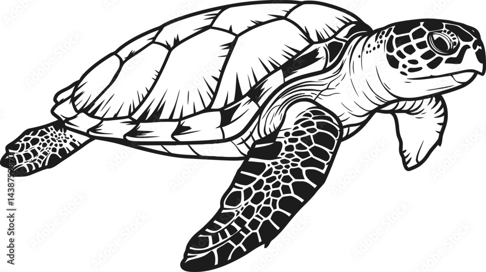 Fototapeta premium Black and White Vector Sea Turtle Illustration