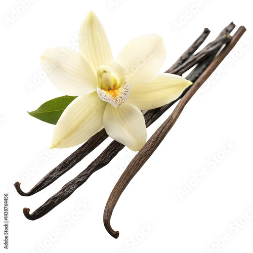 Vanilla flower and sticks isolated on white background png vanilla flower png vanilla beans png natural vanilla png vanilla pod png transparent background image