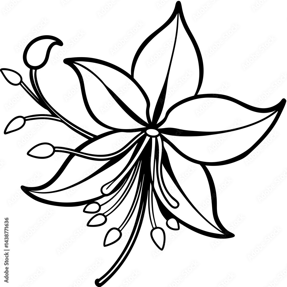Minimal Honeysuckle Flower Vector on White Minimal Honeysuckle Flower Vector on White