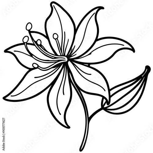 Minimal Honeysuckle Flower Vector on White
