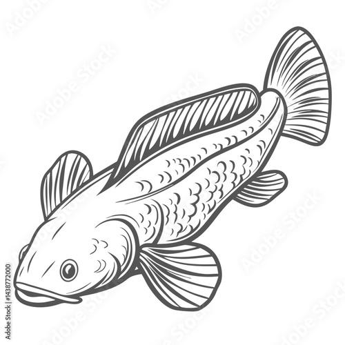 Common Pleco Fish Line Art, Hypostomus Plecostomus