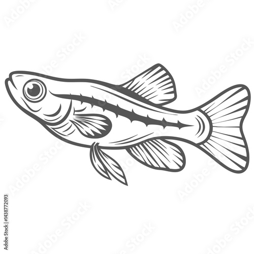 Endler's Livebearer Fish Line Art Illustration
