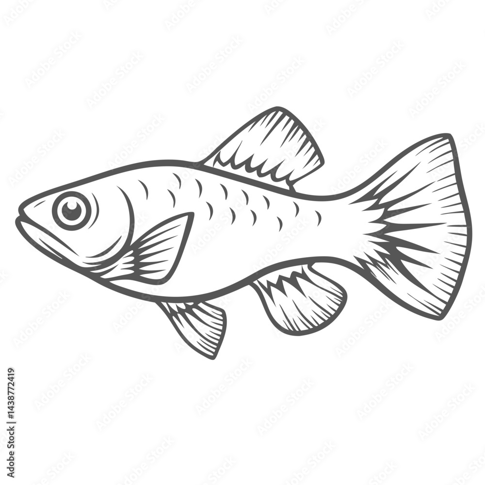 Platy Fish Line Art Illustration Vector Platy Fish Line Art Illustration Vector