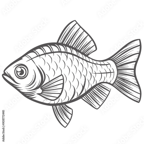 Rosy Barb Fish Line Art Illustration