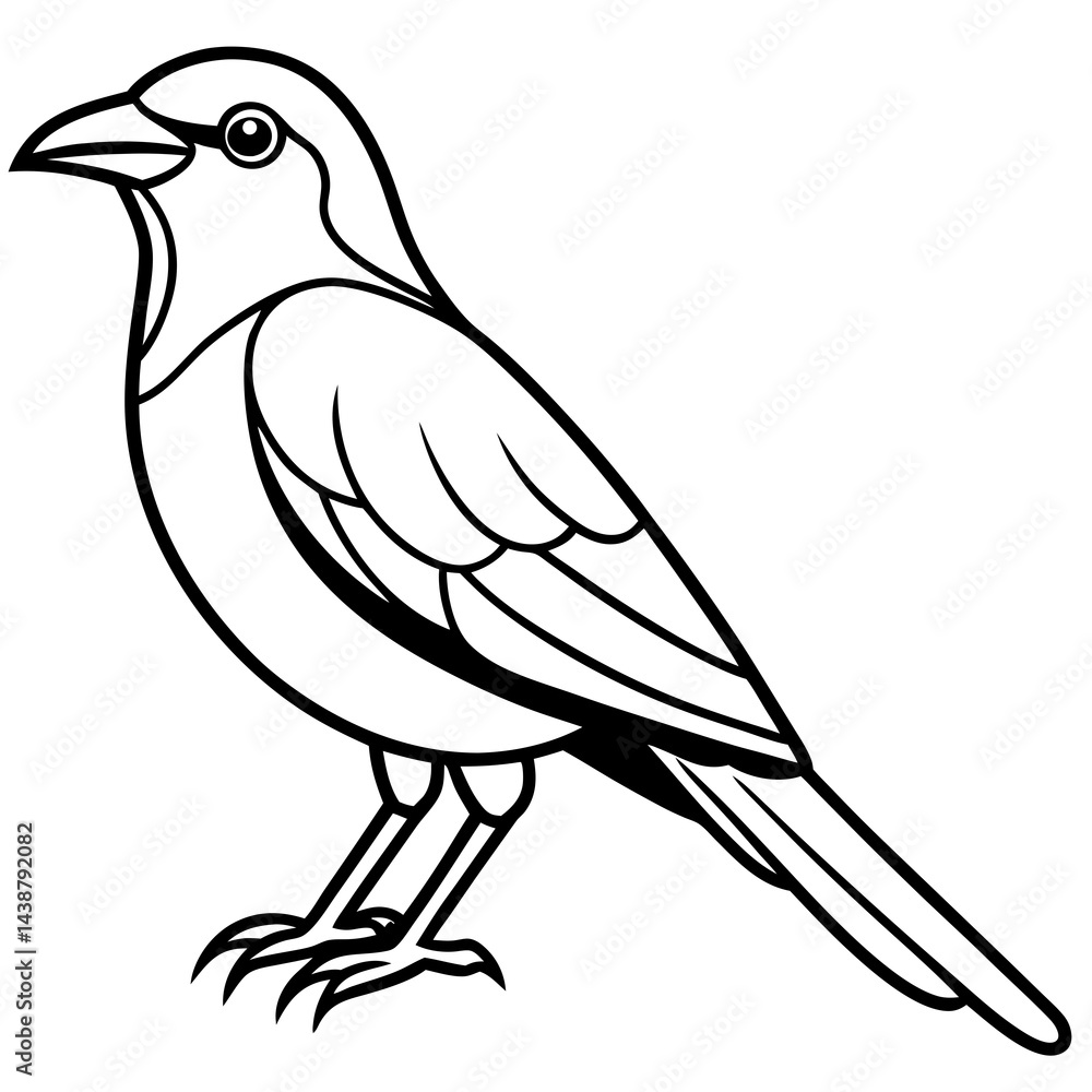 Obraz premium Minimal Indian Roller Vector on White