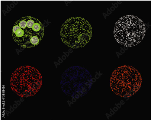 Algae