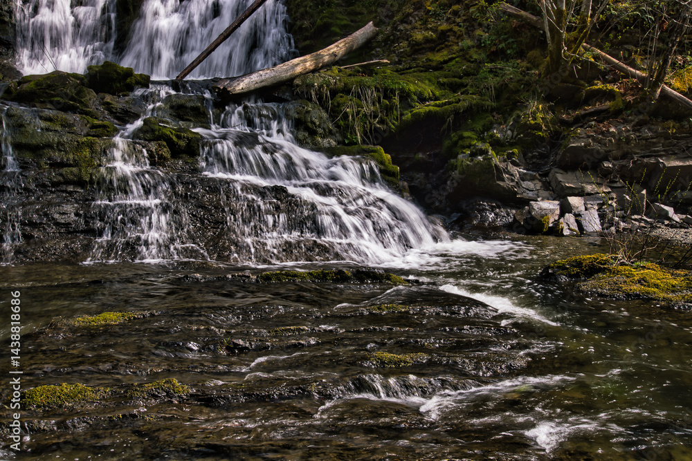 Obraz premium Fresh water cascades down a large beautiful waterfall into a crystal clear rocky pool below, surrounded by lush tropical rainforest, vancouver island, british colombia, canada 