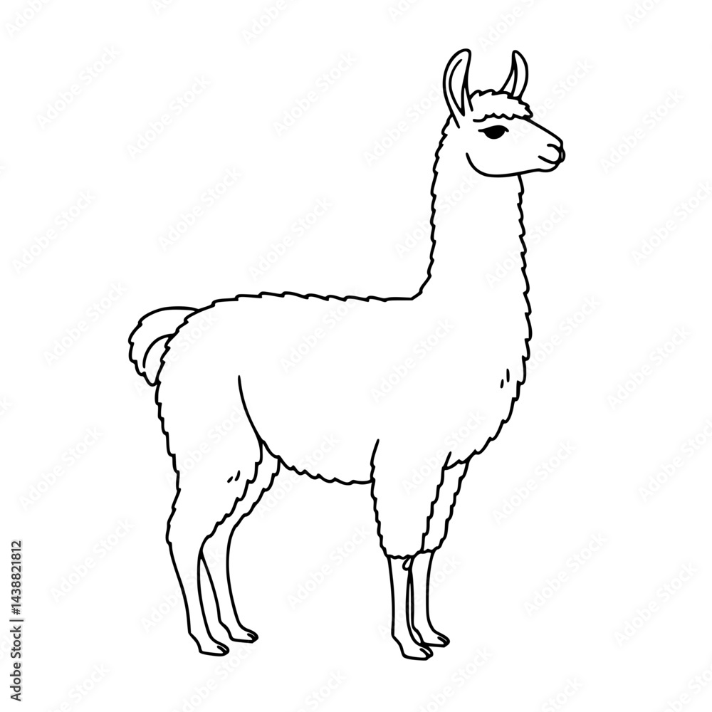 Fototapeta premium Llama standing calmly Line Icon - Simple Vector Outline in minimalistic black and white design