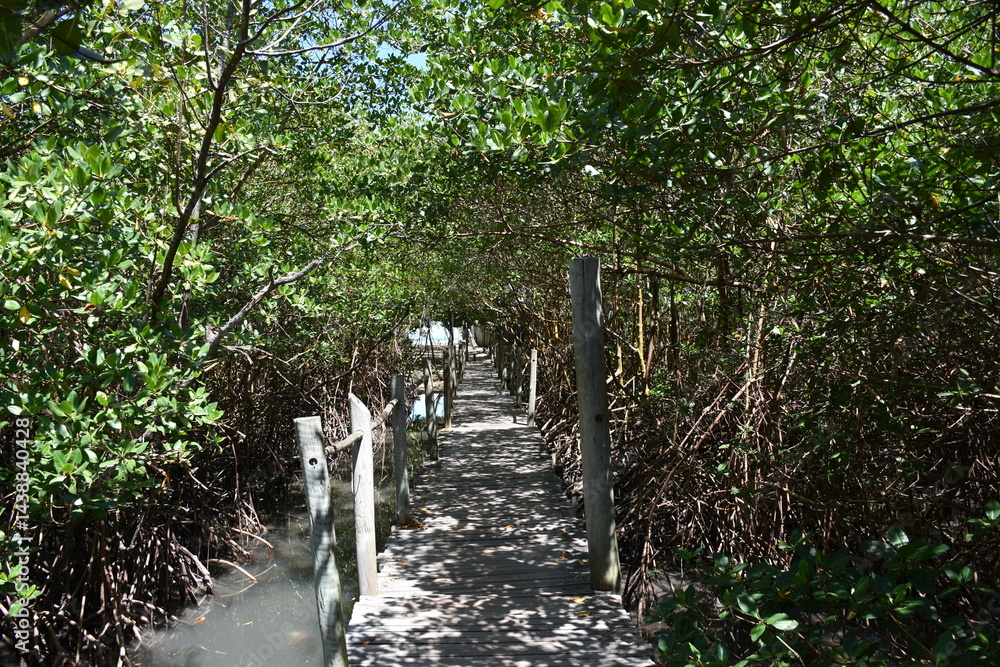 trancoso