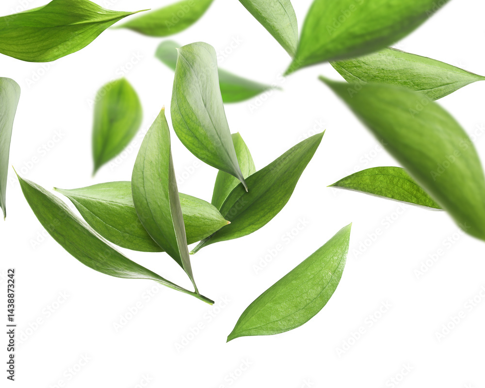 Obraz premium Many fresh green leaves flying on white background