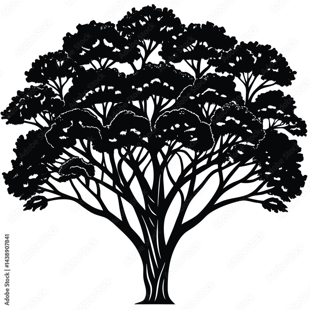 Obraz premium Acacia trees icon set isolated on white background