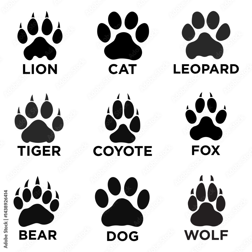 Fototapeta premium Vector illustration of various animal paw print silhouettes including lion, cat, leopard, tiger, coyote, fox, bear, dog, and wolf, isolated on white background for educational or design use