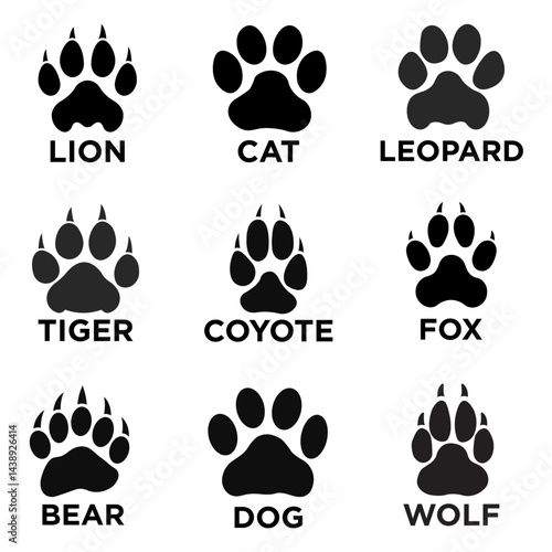 Vector illustration of various animal paw print silhouettes including lion, cat, leopard, tiger, coyote, fox, bear, dog, and wolf, isolated on white background for educational or design use