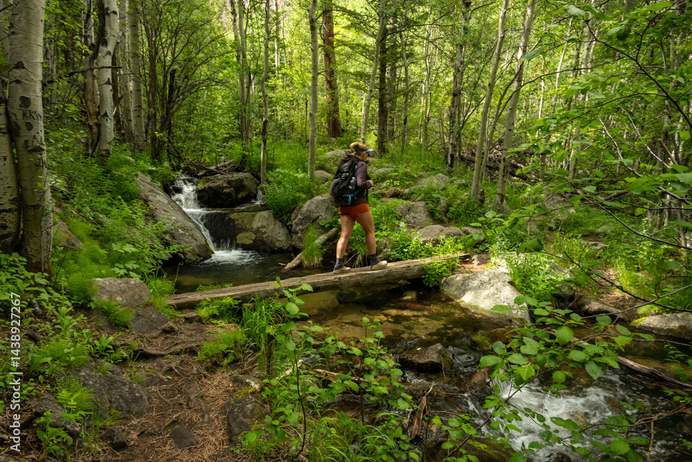 Hiker Crosses Small Wooden Bridge In The Backcountry of Rocky Mountain