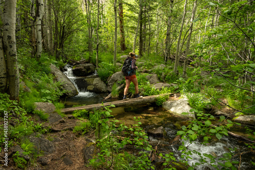 Obraz na płótnie Hiker Crosses Small Wooden Bridge In The Backcountry of Rocky Mountain w salonie