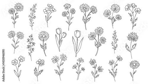 花と草と葉の白黒の線画ベクターイラスト 一輪の花/シンプルでおしゃれな手書きのラインアート	
