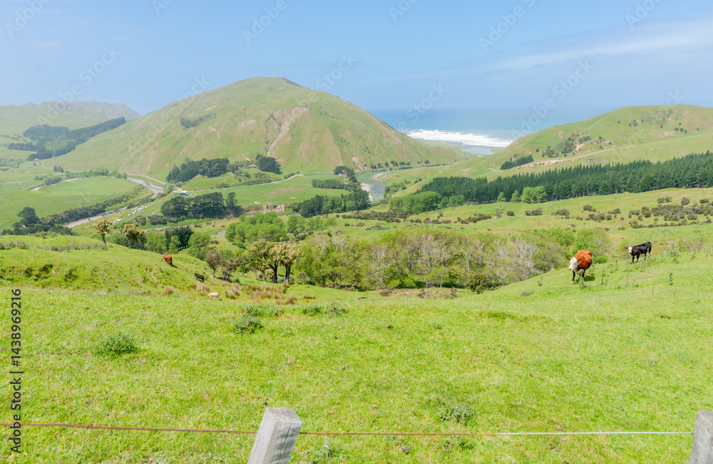 New Zealand rural land scene
