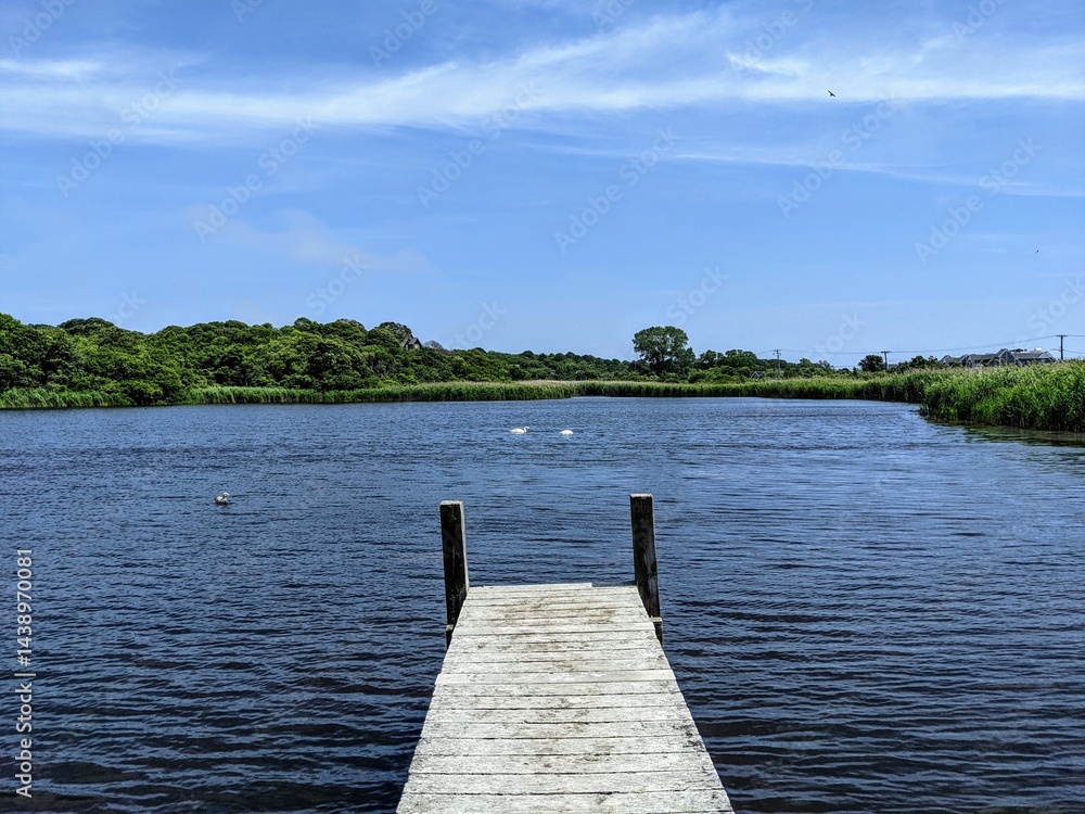 Naklejka premium Inland pond in Montauk, New York - June 2021