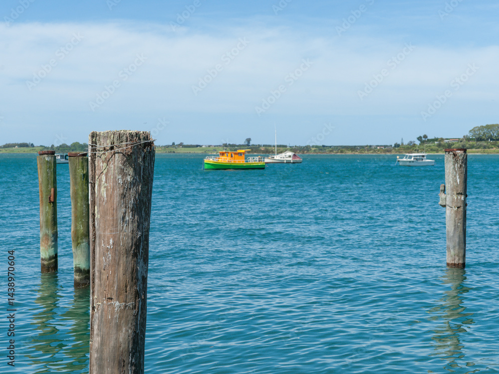 Old mooring poles in Tauranga harbour
