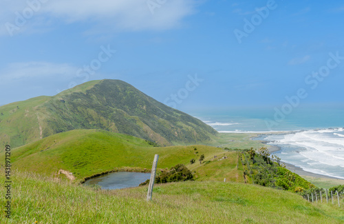 New Zealand rural land scene