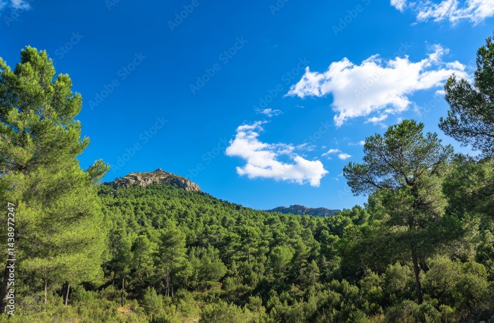 Obraz premium Lush mountain forest under a vibrant sky