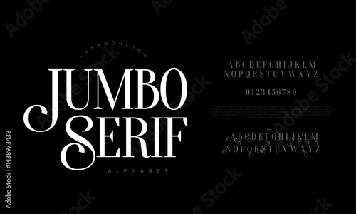 Serif Modern Elegant Display Font Vector for Branding Fashion Wedding Packaging Advertising and Logo Design