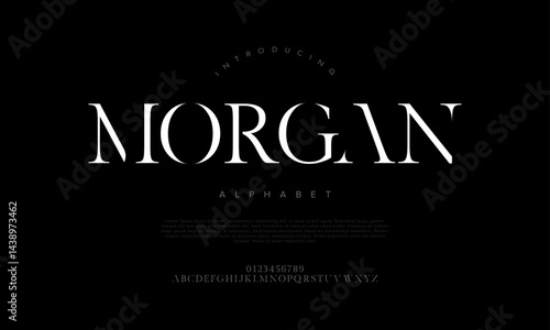 Classic Elegant Serif Font Vector for Premium Branding Editorial Fashion Wedding Boutique Magazine and Advertising Design