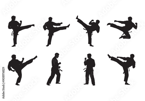 Martial arts fighter silhouette set, karate poses, kicking, punching, and fighting stances vector