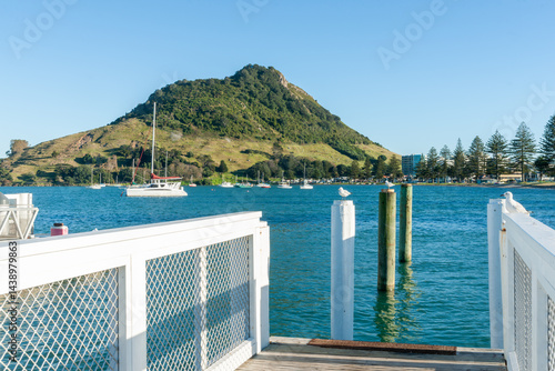 Obraz na płótnie White pier rails and mooring posts with seagulls in foreground view of Pilot Bay and Mount Maunganui w salonie
