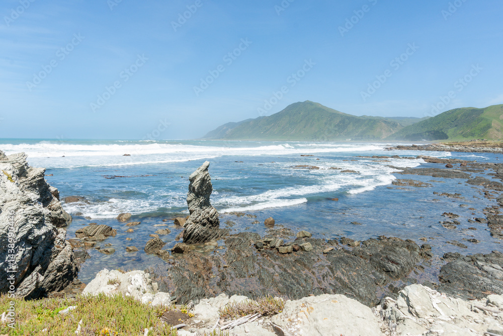 Rocky Wairararpa coast