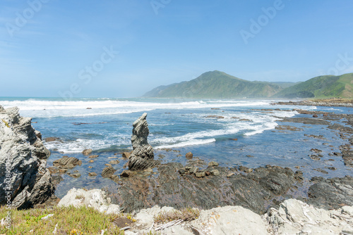 Obraz na płótnie Rocky Wairararpa coast w salonie