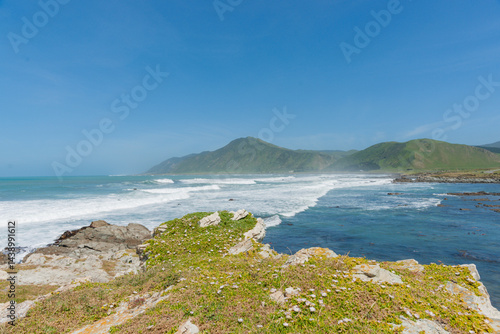 Rocky Wairararpa coast
