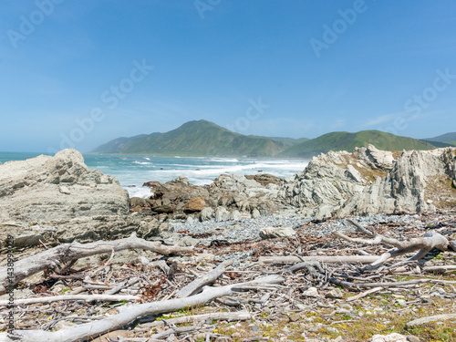 Obraz na płótnie Rocky Wairararpa coast w salonie