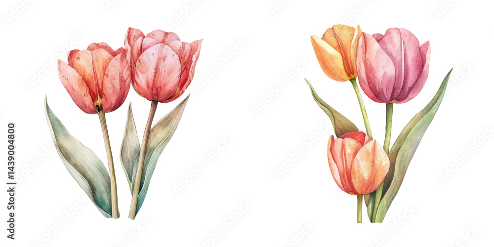 custom made wallpaper toronto digitaltulip flower watercolor vector illustration