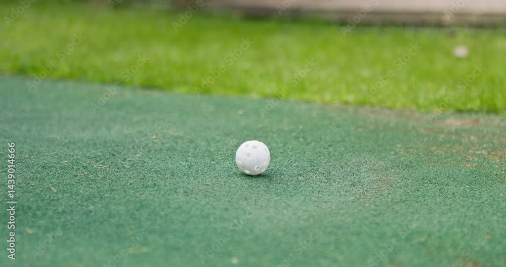Mini golf, swing and putter on artificial grass with ball in backyard for sports, training and relax with hobby. Game, putting course challenge and club on green lawn with stroke, hit and target. Mini golf, swing and putter on artificial grass with ball in backyard for sports, training and relax with hobby. Game, putting course challenge and club on green lawn with stroke, hit and target.