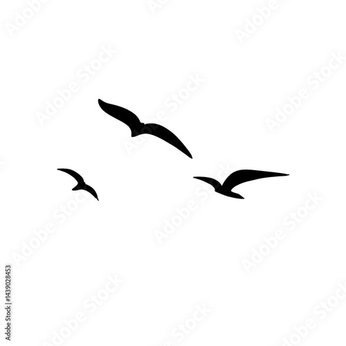 Seagull silhouette icon