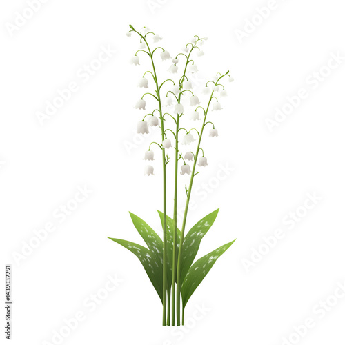 Wallpaper Mural Realistic vector image of a soft white lily isolated on transparent background Torontodigital.ca
