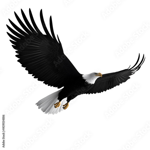 Silhouette of an eagle isolated on transparent background
