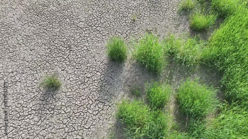 footprint in the grass