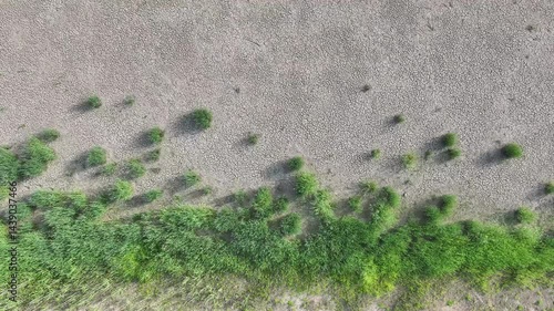 sand dunes and grass