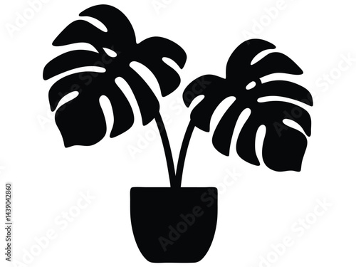 Monstera deliciosa plant in pot silhouette vector, Potted plant with monstera silhouette potted black vector illustration.
