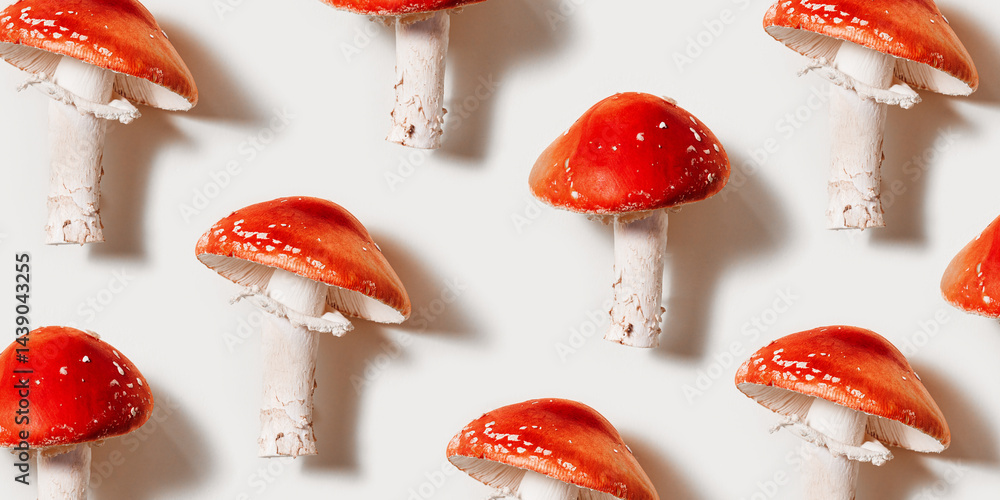 Minimal aesthetic pattern with fly agaric mushrooms, natural beauty of inedible toxic and hallucinogenic mushroom with bright red cap and white stem names Amanita muscaria, creative banner
