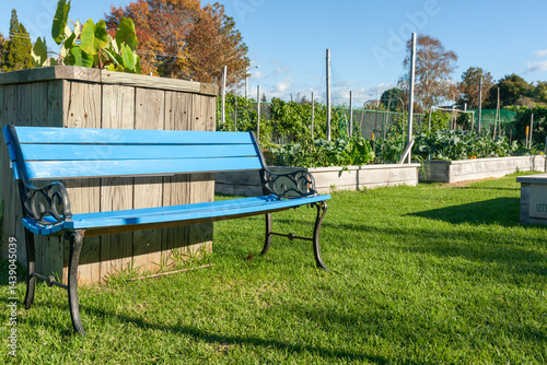 Obraz na płótnie Blue bench seat in Community gardens area. w salonie
