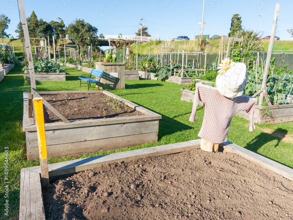 Scarecrow to protect seeds in Community gardens area.