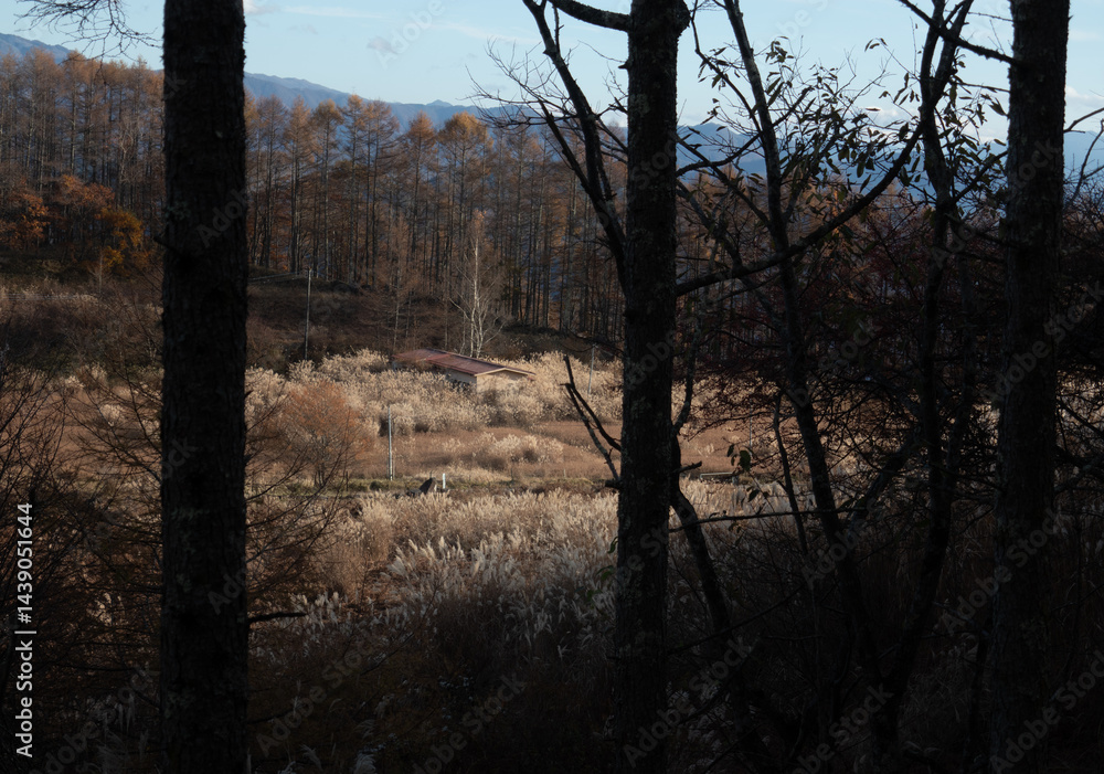 Obraz premium 小さな小屋