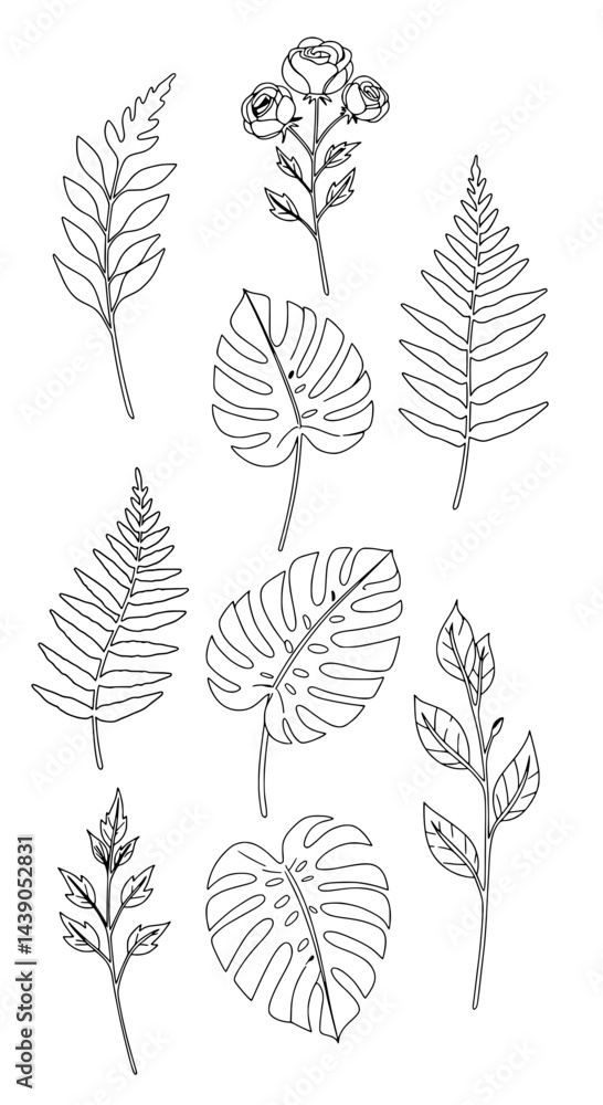 Obraz premium Botanical Line Art Collection: This minimalist collection of delicate line art drawings features a variety of tropical leaves and floral elements.