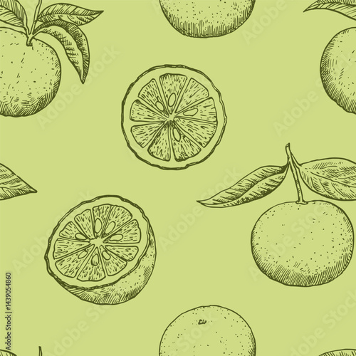 Seamless pattern with yuzu fruits in engraving style. Monochrome outline vector illustration.