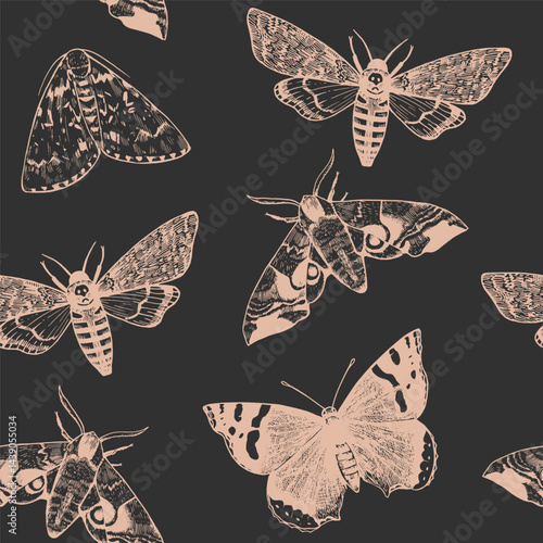 Seamless pattern with engraved moths and butterflies in realistic victorian style. Elegant monochrome print for design. Vector illustration.