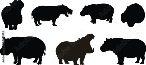 Hippopotamus black silhouette collection.