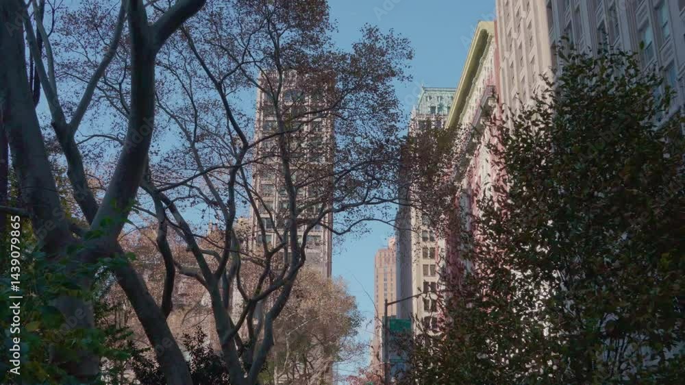 Manhattan skyscrapers peek through autumn trees along a quiet city street, blending urban architecture with natural textures. Manhattan skyscrapers peek through autumn trees along a quiet city street, blending urban architecture with natural textures.